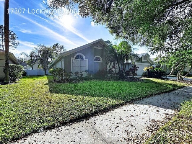 17307 Lockwood Ridge Dr in Tampa, FL - Building Photo - Building Photo
