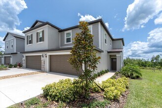 17740 Tawny Malt Pl in Land O Lakes, FL - Building Photo - Building Photo