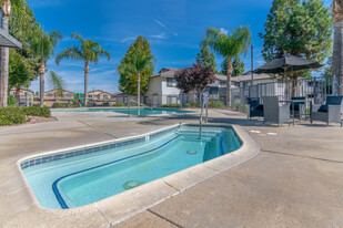 Shoreline Apartments