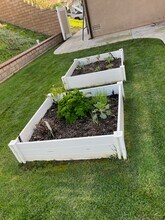 1163 Via Vista Dr in Riverside, CA - Building Photo - Building Photo