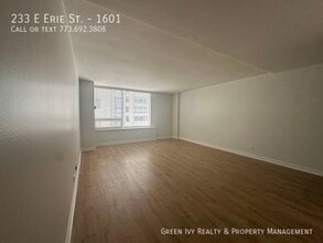 233 E Erie St in Chicago, IL - Building Photo - Building Photo