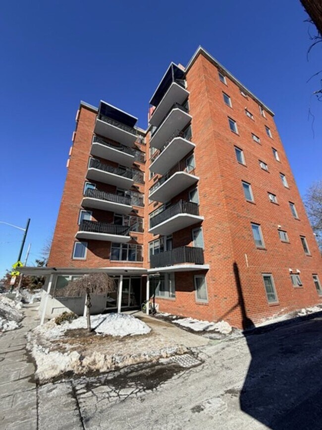 125 Trapelo Rd in Belmont, MA - Building Photo - Building Photo