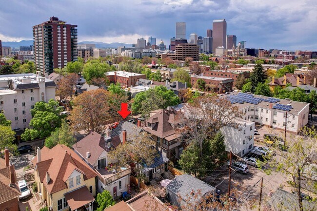 1136 N Washington St in Denver, CO - Foto de edificio - Building Photo