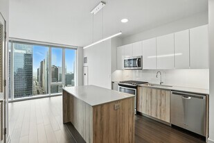 355 W Wolf Point Plaza in Chicago, IL - Building Photo