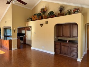 2815 Countrybrook Dr in Palm Harbor, FL - Foto de edificio - Building Photo