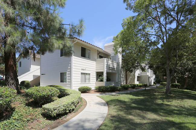 Reidy Creek in Escondido, CA - Foto de edificio - Building Photo