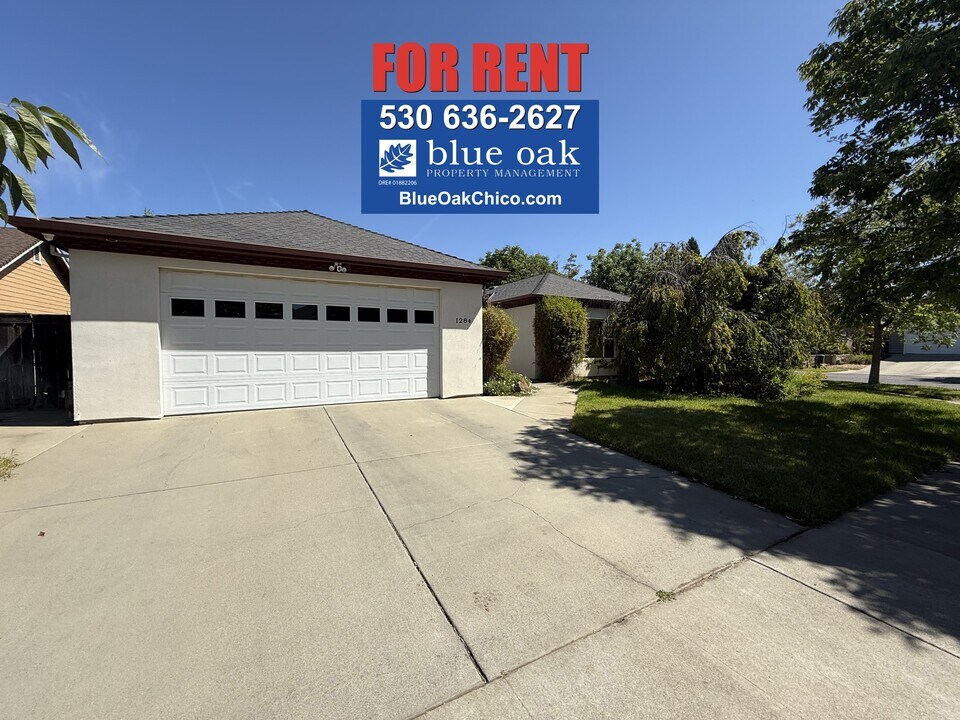 1284 Virage Ln in Chico, CA - Building Photo