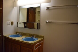 502 Elm St in Ann Arbor, MI - Foto de edificio - Building Photo