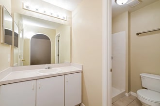 12952 Odyssey Lake Way in Orlando, FL - Building Photo - Building Photo