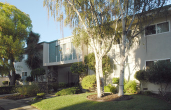 Blythe Court Apartments in Sunnyvale, CA - Building Photo - Building Photo