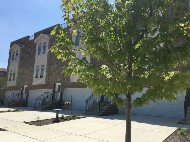 902 East St in Lemont, IL - Building Photo - Building Photo