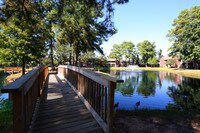 Lakeview Apartments photo'