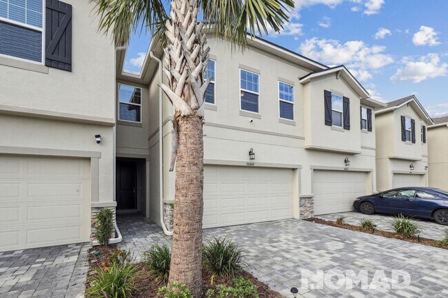 26066 Fantasy Sky Ln in Lutz, FL - Building Photo - Building Photo