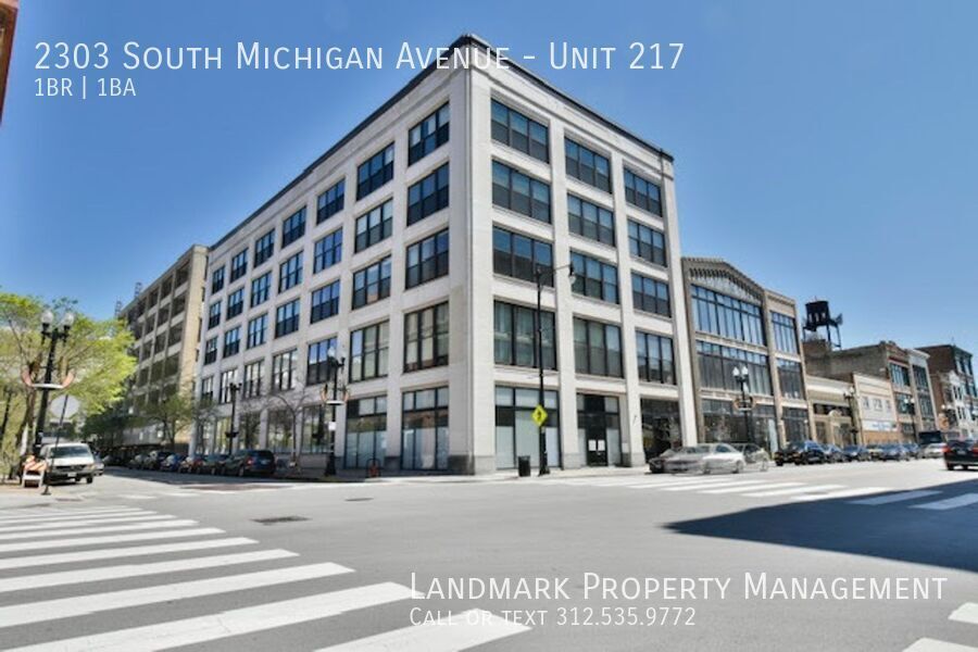 2303 S Michigan Ave in Chicago, IL - Building Photo