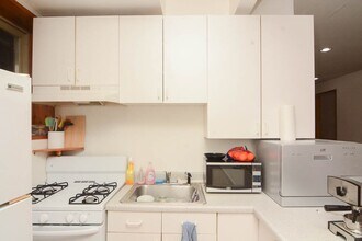 1307 N Greenview Ave in Chicago, IL - Building Photo - Building Photo