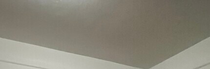 13841 Forest Ave in Dolton, IL - Building Photo - Building Photo