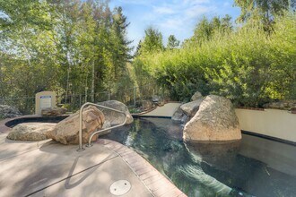 65 Campground Ln in Snowmass Village, CO - Building Photo - Building Photo