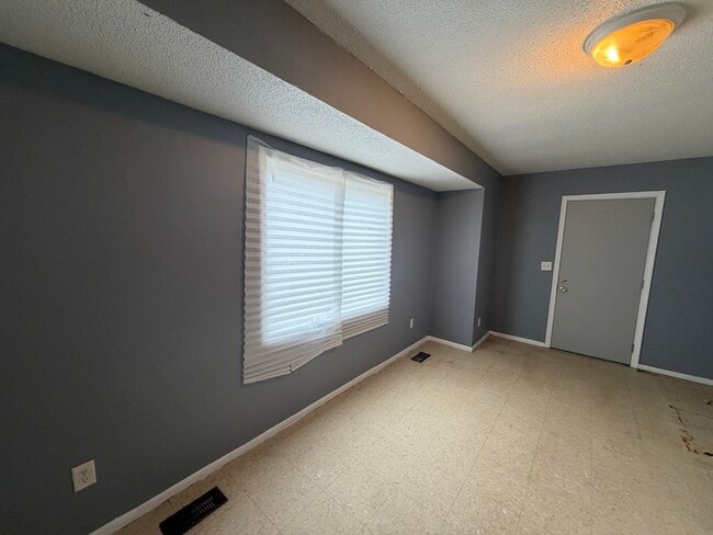 1003 Shasta Dr in Danville, IL - Building Photo - Building Photo