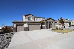 5475 Long Dr in Timnath, CO - Building Photo