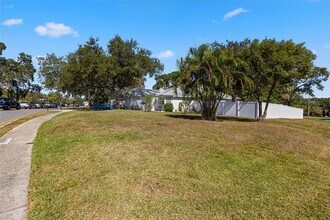 245 Petrea Dr in Palm Harbor, FL - Building Photo - Building Photo