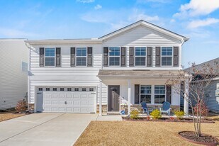 234 Ridley Hill Ln in Elgin, SC - Building Photo