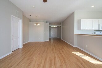 6748 Monarch Park Dr in Apollo Beach, FL - Building Photo - Building Photo
