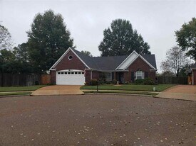 245 Poplar Bluff Cove in Collierville, TN - Building Photo