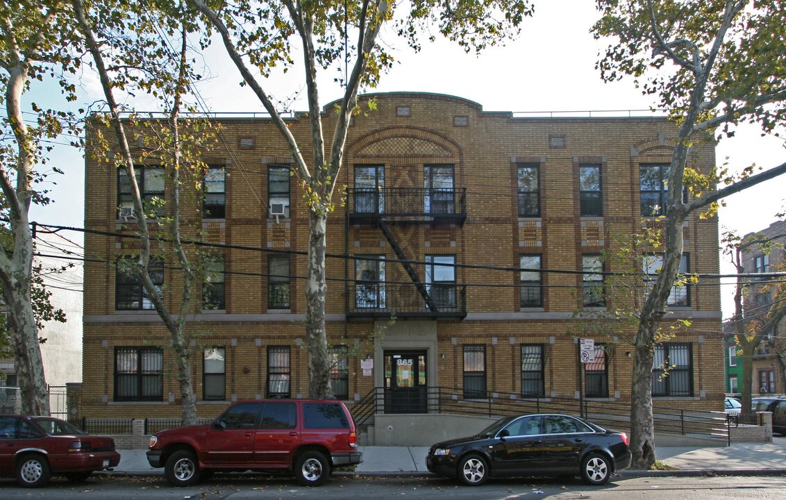 865 Hopkinson Ave in Brooklyn, NY - Foto de edificio