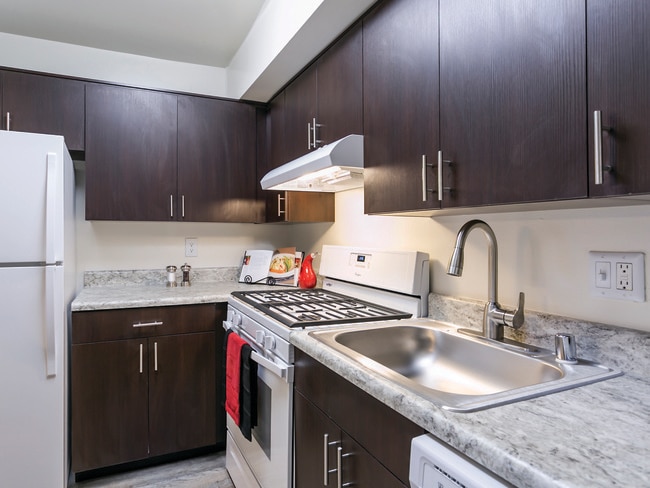 The Apartments at Saddle Brooke in Cockeysville, MD - Building Photo - Building Photo