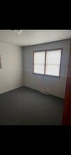 100 Vana Dr in Willow Springs, IL - Foto de edificio - Building Photo