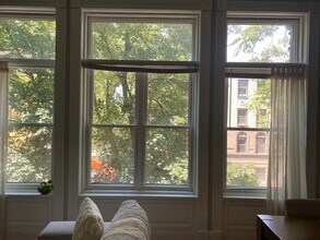 2719 N Pine Grove Ave in Chicago, IL - Building Photo - Building Photo
