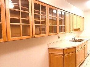 1519 N Windsor Dr in Arlington Heights, IL - Building Photo - Building Photo