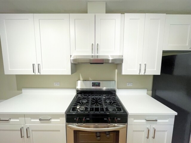 1916 N Wolcott Ave in Chicago, IL - Building Photo - Building Photo