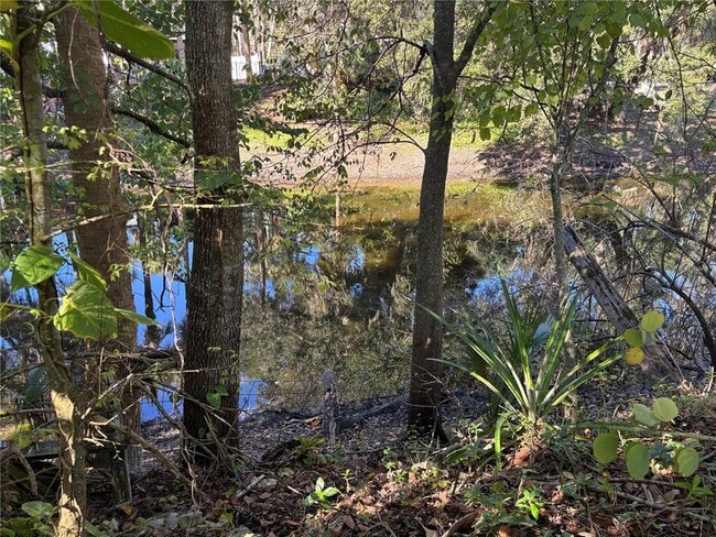1916 Spring Ave in Oviedo, FL - Building Photo - Building Photo