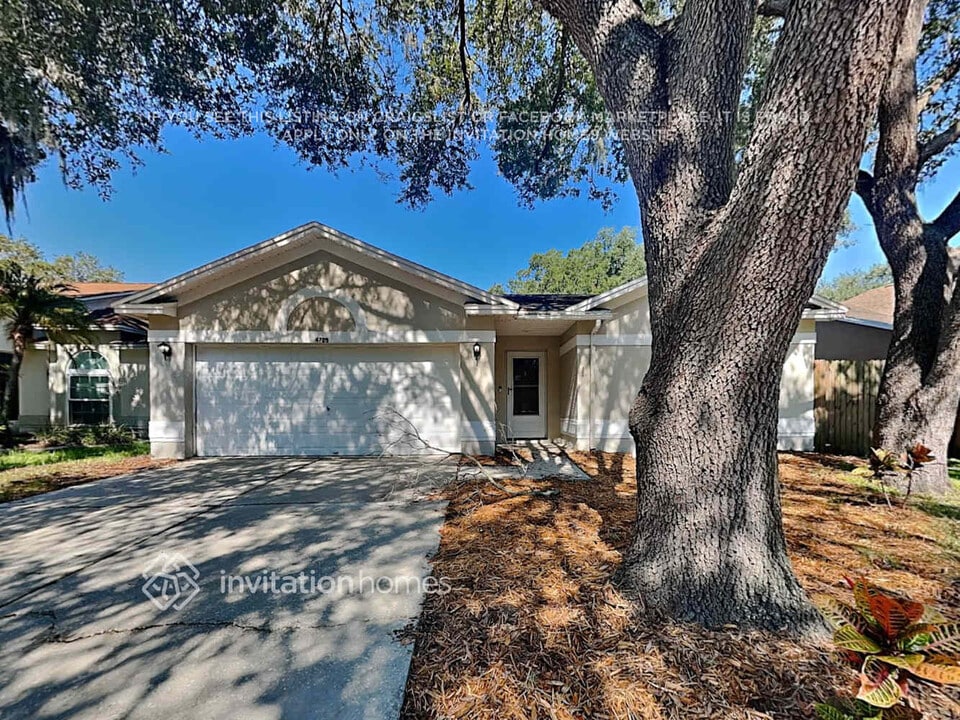 4709 Rockingchair Dr in Valrico, FL - Foto de edificio