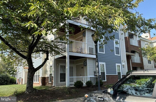 20979 Timber Ridge Terrace-Unit -101 in Ashburn, VA - Building Photo - Building Photo