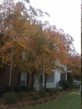 Heatherwood Apartments in Anderson, SC - Foto de edificio - Building Photo