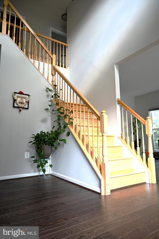 20306 Baymeadow Ct in Ashburn, VA - Building Photo - Building Photo
