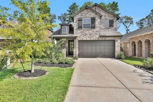 440 Flowering Lotus Ct in Willis, TX - Building Photo
