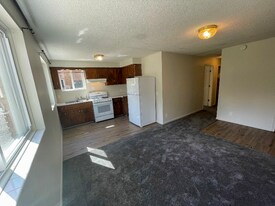 4556 Madison St NE in Minneapolis, MN - Building Photo