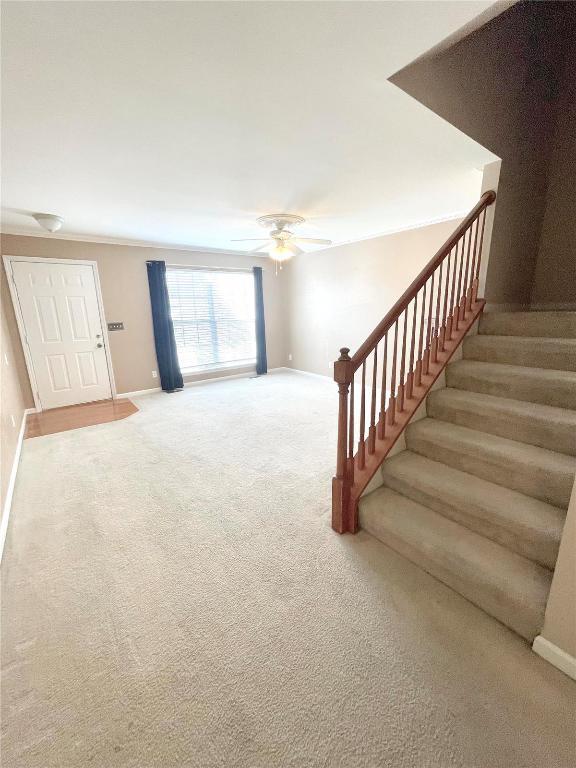 2651 Brookmeadow Dr in Belleville, IL - Foto de edificio - Building Photo