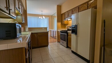 243 Camel Bend Ct in Schaumburg, IL - Building Photo - Building Photo