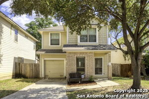 6118 Pecan Tree
