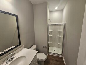 1077 Flat Coat Ln in Chapin, SC - Building Photo - Building Photo