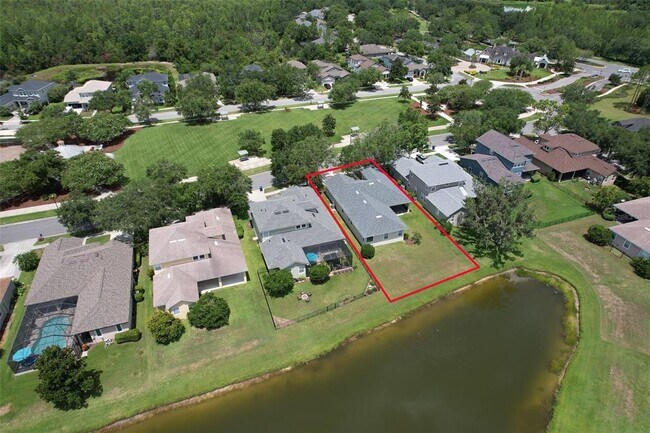 8938 Westerland Dr in Land O Lakes, FL - Building Photo - Building Photo