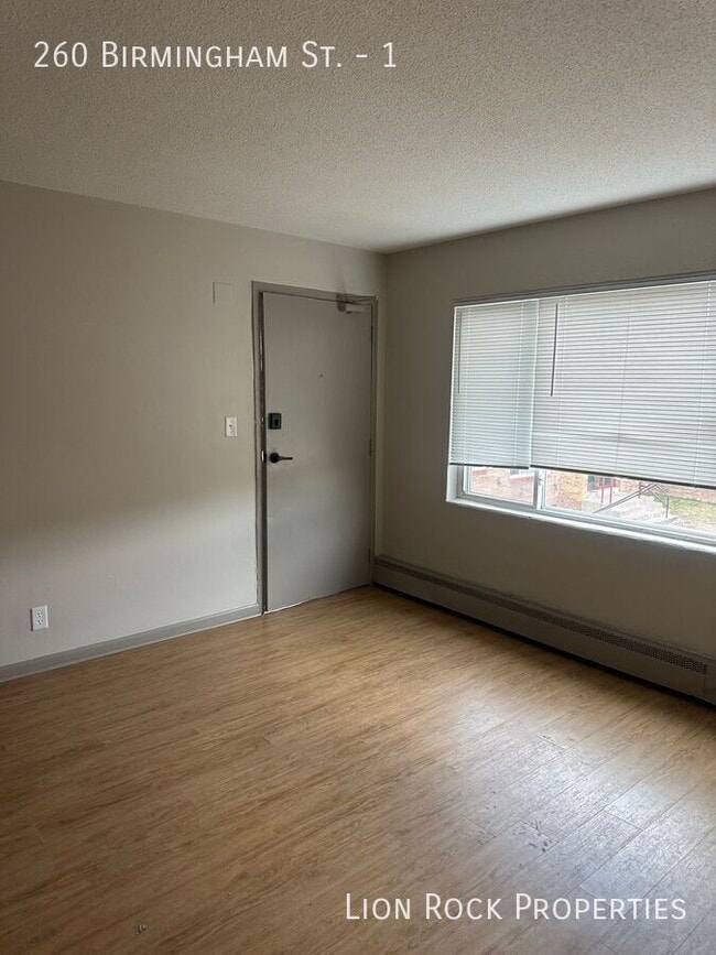 property at 260 Birmingham St