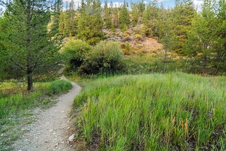 115 Pelican Cir in Breckenridge, CO - Building Photo - Building Photo