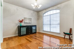 12307 Ashley Pl in San Antonio, TX - Building Photo - Building Photo