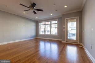 153 Levering St in Philadelphia, PA - Building Photo
