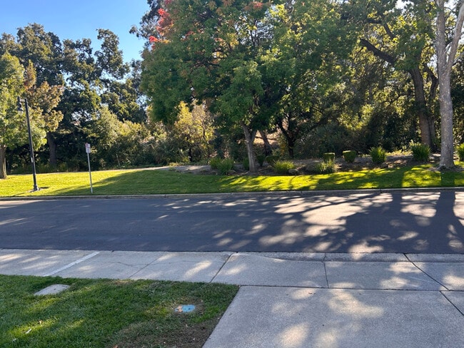 165 Bridgeside Cir in Danville, CA - Foto de edificio - Building Photo
